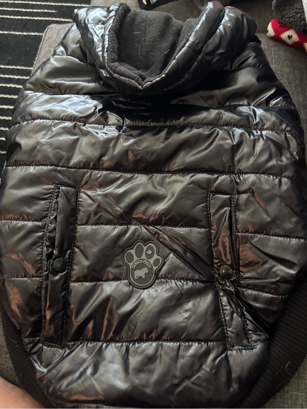 Canada Pooch Shiny Black Puffer Jacket - 16